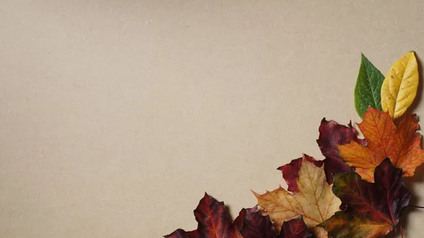 Осенние Листья Расположенные Углу Деревянном Фоне — стоковое фото