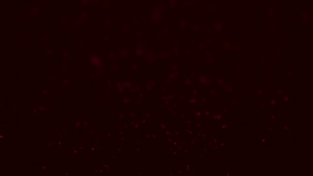 小さな赤いクリスマス輝くグリッターグラデーションフォーカスぼかしの背景 — ストック動画