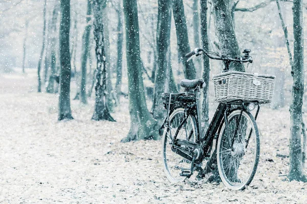 バスケット付きオランダの電気黒貨物自転車の冬景色 — ストック写真