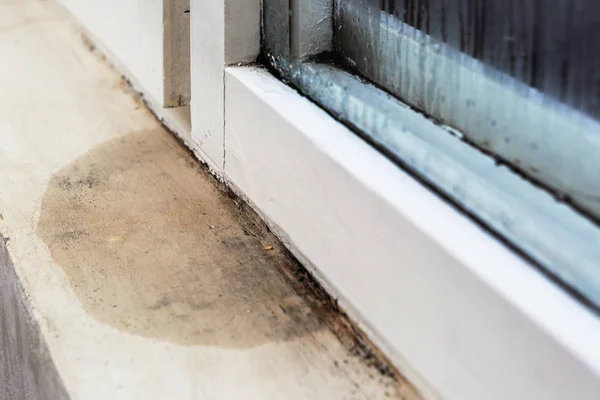 Moisture and mold -Problems in a house — Stock Photo, Image