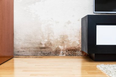 Modern ev içinde bir duvarda rutubet nedeniyle hasar