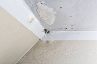 Evde bir duvarda rutubet nedeniyle hasar