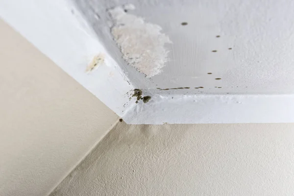 Danos causados pela umidade em uma parede na casa — Fotografia de Stock