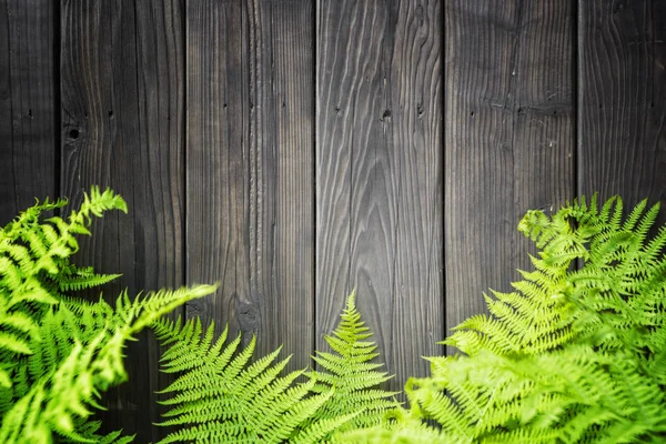 Farnblätter auf Holzgrund — Stockfoto