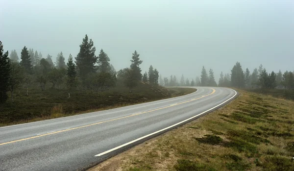 Suomi tie usvassa päivässä — kuvapankkivalokuva