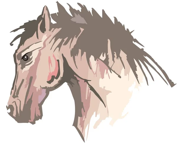 Κοντινό Κεφάλι Αλόγου Παστέλ Χρώματα Horse Head Μπορεί Χρησιμοποιηθεί Αθλητικά — Διανυσματικό Αρχείο