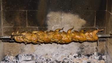 bıldırcınlar bir şiş üzerinde. ızgara bıldırcınlar 