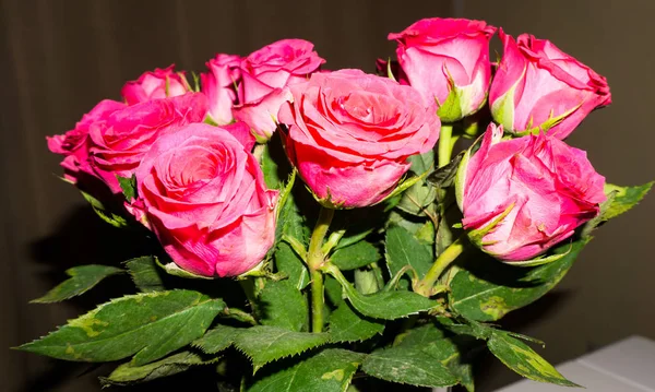 Blommor. röda rosor skönhet — Stockfoto