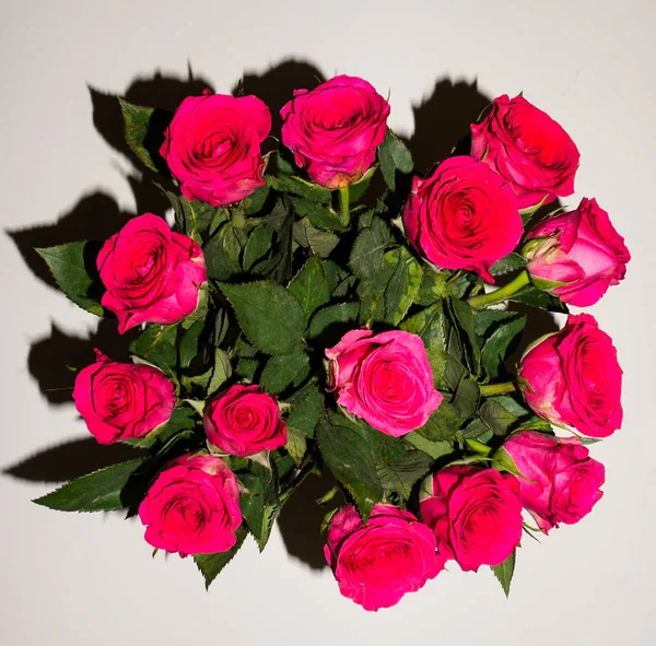 Flowers. red roses beauty — Stock Photo, Image