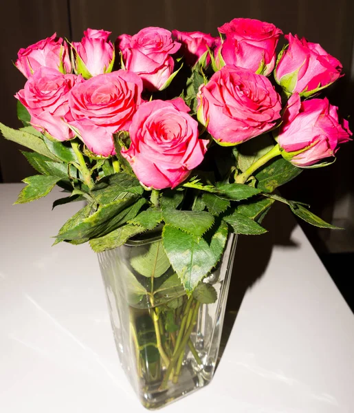 Blommor. röda rosor skönhet — Stockfoto