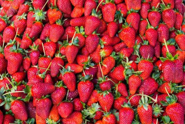 Kırmızı çilek. arka plan duvar kağıdı