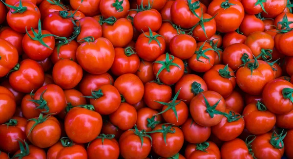 Gruppo di pomodori rossi — Foto Stock