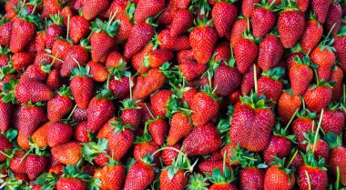 Kırmızı çilek. arka plan duvar kağıdı