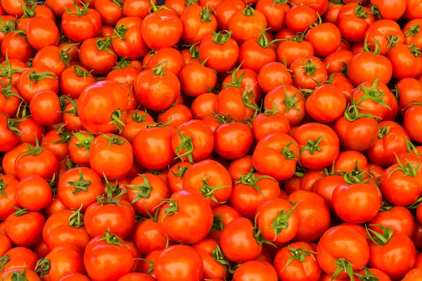 Grupo de tomates rojos — Foto de Stock