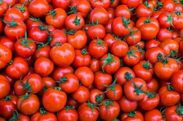 Grupp av röda tomater — Stockfoto