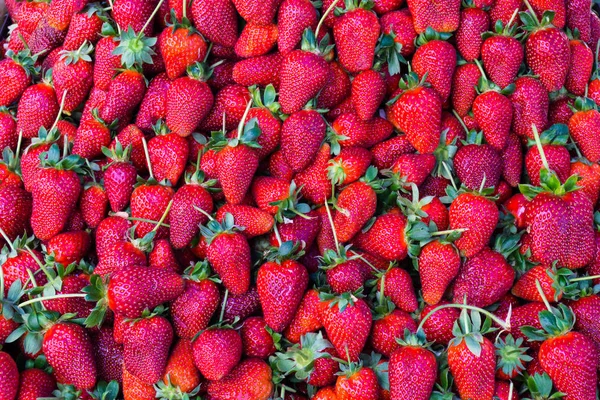 Kırmızı çilek. arka plan duvar kağıdı