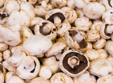 mantar champignon. Gıda arka plan