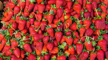 Kırmızı çilek. arka plan duvar kağıdı