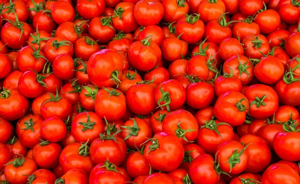 Группа красных помидоров — стоковое фото