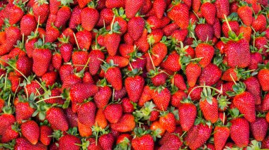 Kırmızı çilek. arka plan gıda