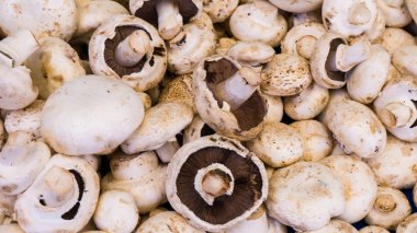 mantar champignon. Gıda arka plan