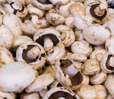 mantar champignon. Gıda arka plan