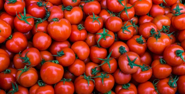 Grupo de tomates rojos maduros — Foto de Stock