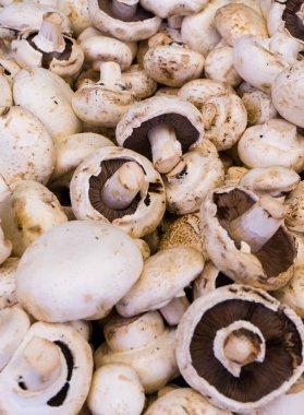 mantar champignon. Gıda arka plan