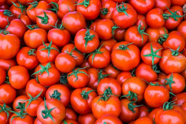 Grupo de tomates vermelhos maduros — Fotografia de Stock