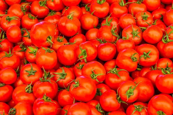 Grupp av röda mogna tomater — Stockfoto