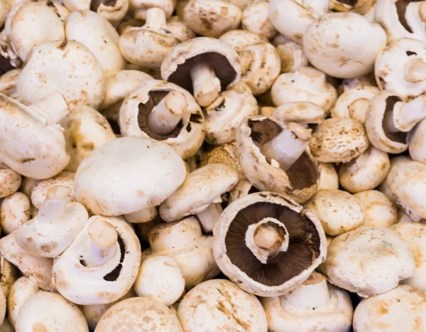 Champignon ai funghi. sfondo cibo — Foto Stock