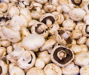 mantar champignon. Gıda arka plan