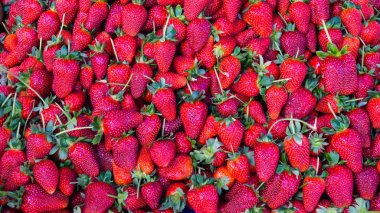 Kırmızı çilek. arka plan gıda