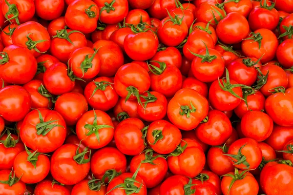 Grupo de tomates rojos maduros — Foto de Stock