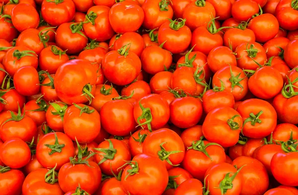 Grupo de tomates rojos — Foto de Stock