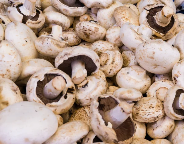 mantar champignon. Gıda arka plan