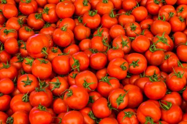 Bir grup kırmızı domates.