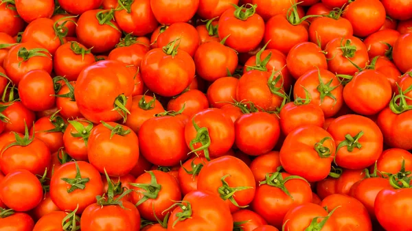 Grupo de tomates rojos maduros — Foto de Stock