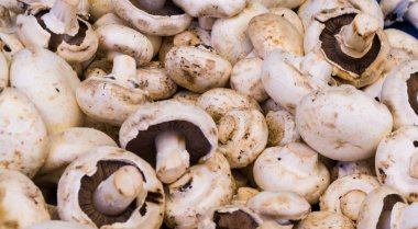 mantar champignon. Gıda arka plan
