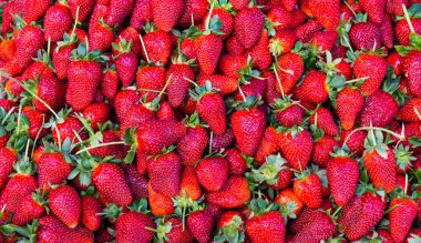 Kırmızı çilek. arka plan duvar kağıdı