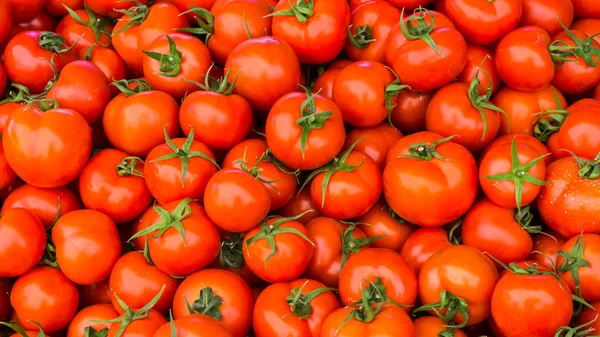 Група червоних стиглих помідорів — стокове фото