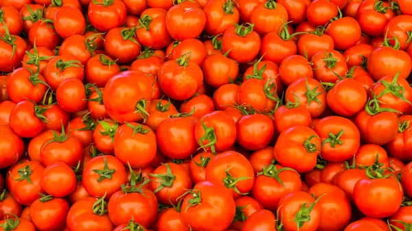 Grupo de tomates vermelhos — Fotografia de Stock