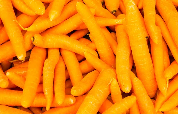 Βιολογικά τρόφιμα καρότο. φόντο — Φωτογραφία Αρχείου