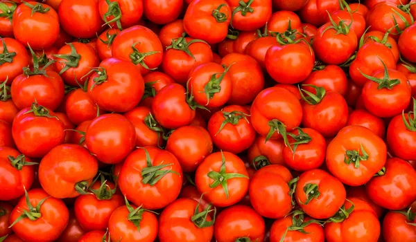 Bir grup kırmızı olgun domates. — Stok fotoğraf