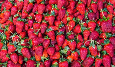 Kırmızı çilek. arka plan duvar kağıdı