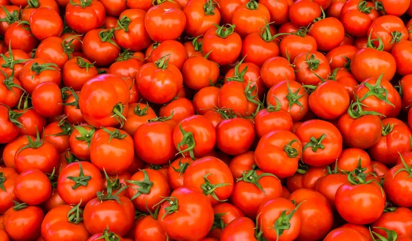 Grupo de tomates rojos maduros — Foto de Stock