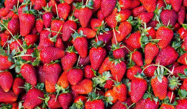Røde jordbær. baggrundsmad - Stock-foto