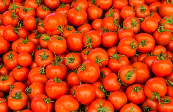Gruppo di pomodori maturi rossi — Foto Stock