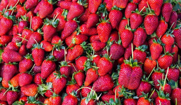 Röd jordgubbe. bakgrunden mat Stockbild