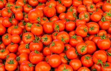 Bir grup kırmızı olgun domates.